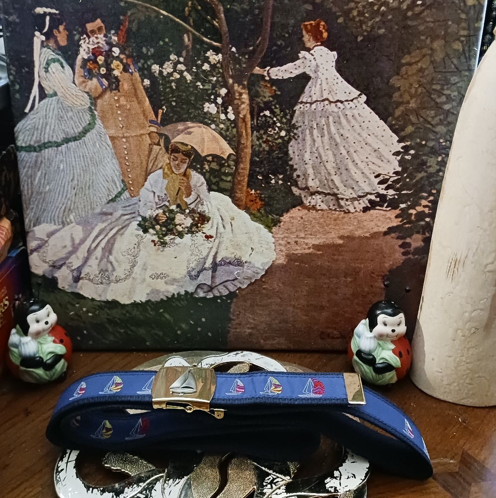 🚢 Skippers Fla,NAUTICAL belt,🏝🏖🏞🎋🎁Never worn.🛥New!BOAT🛶 ⛵️🎁U.S.A. - Picture 2 of 16